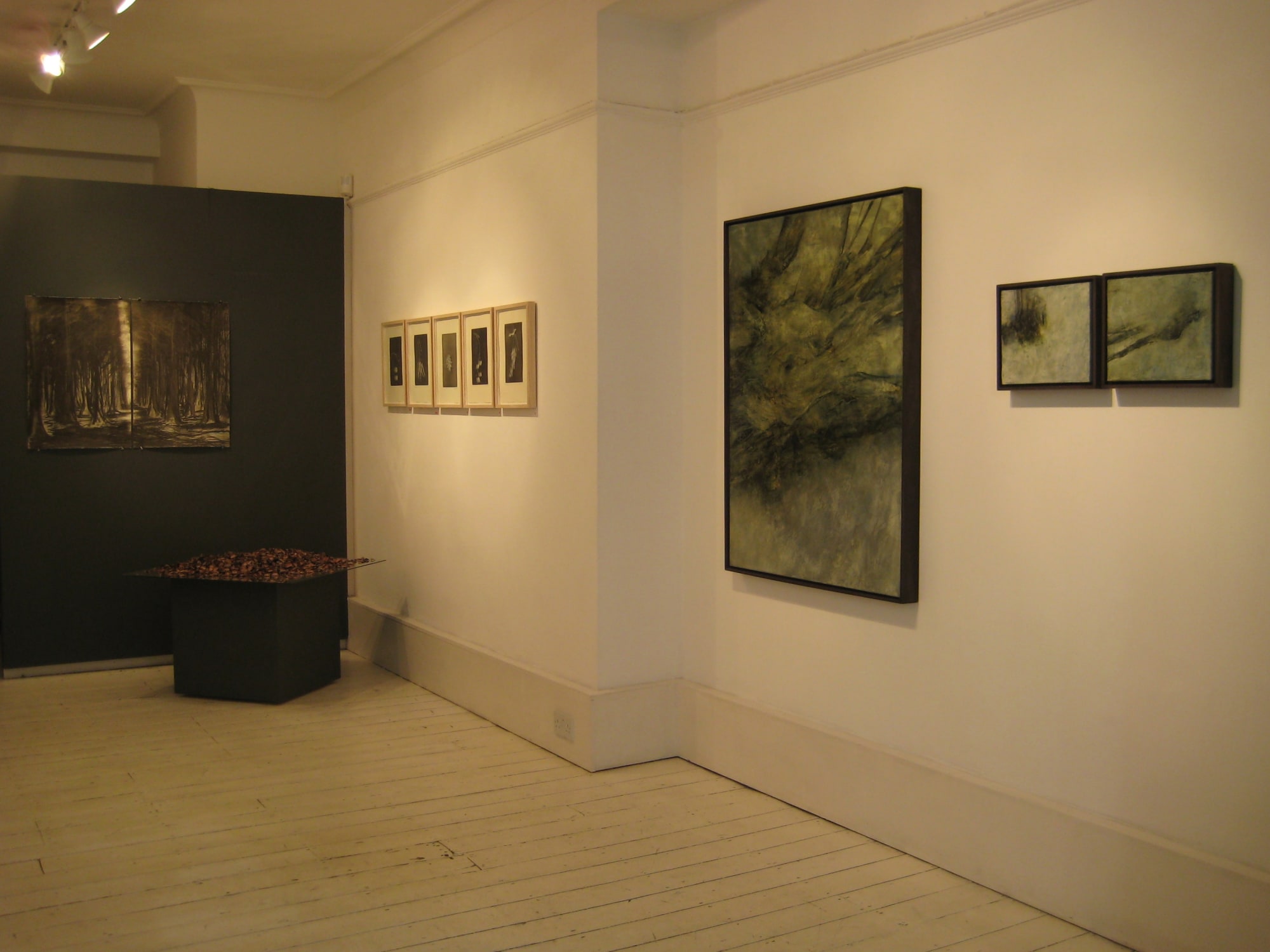 Fall: The Secret Life of Trees