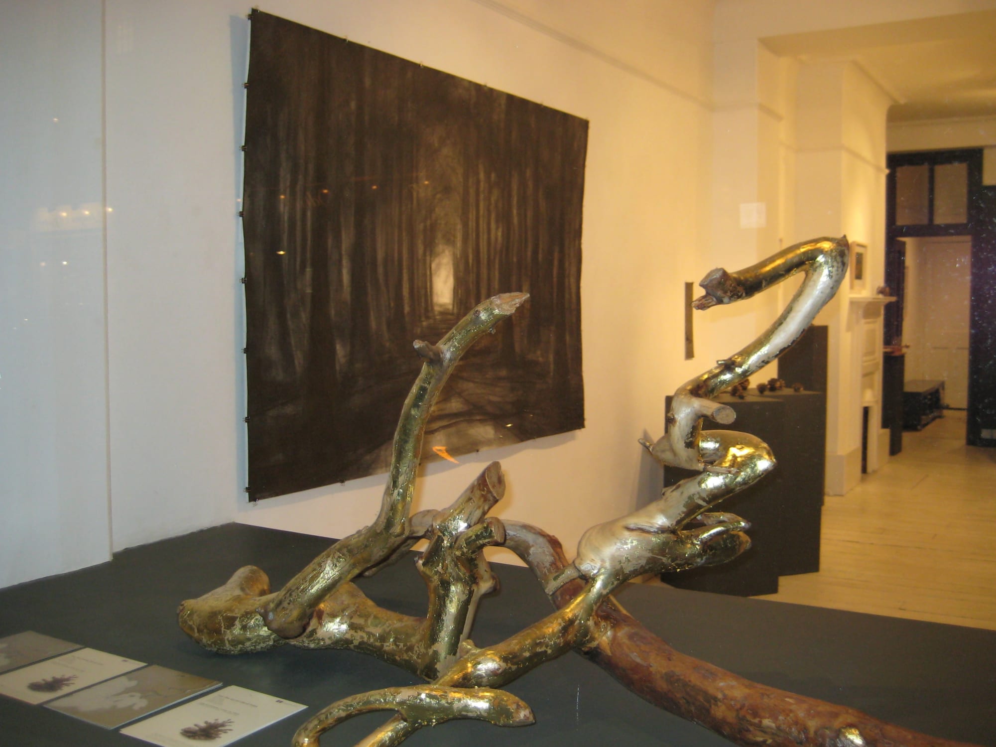 Fall: The Secret Life of Trees