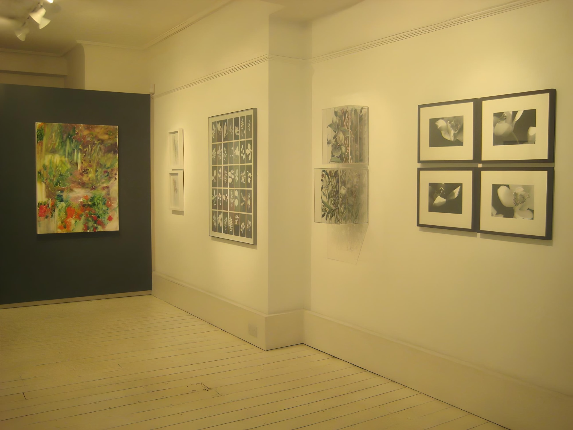 Without my journey and without the spring I would have missed this dawn