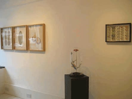 The Nature of Knowledge