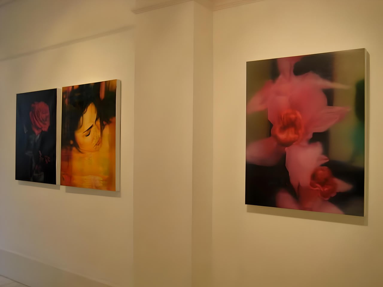 Electric Muses, Quinacridone Flowers & Other Addictions