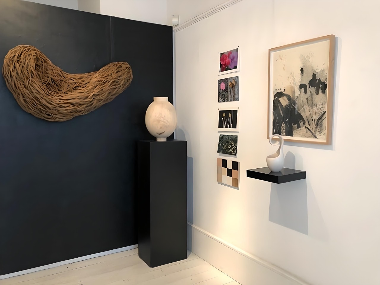 Assortment in Nature