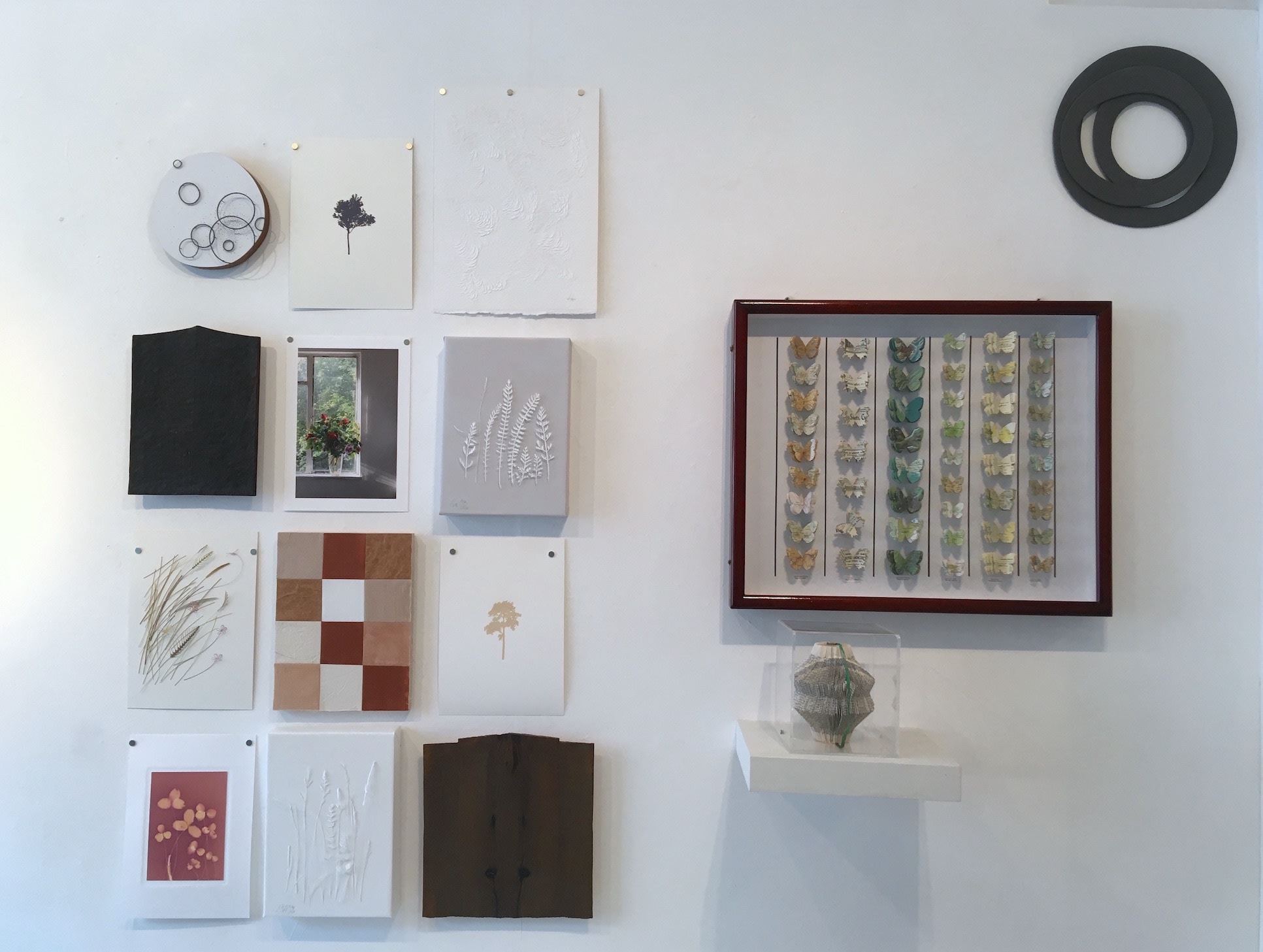 Assortment in Nature