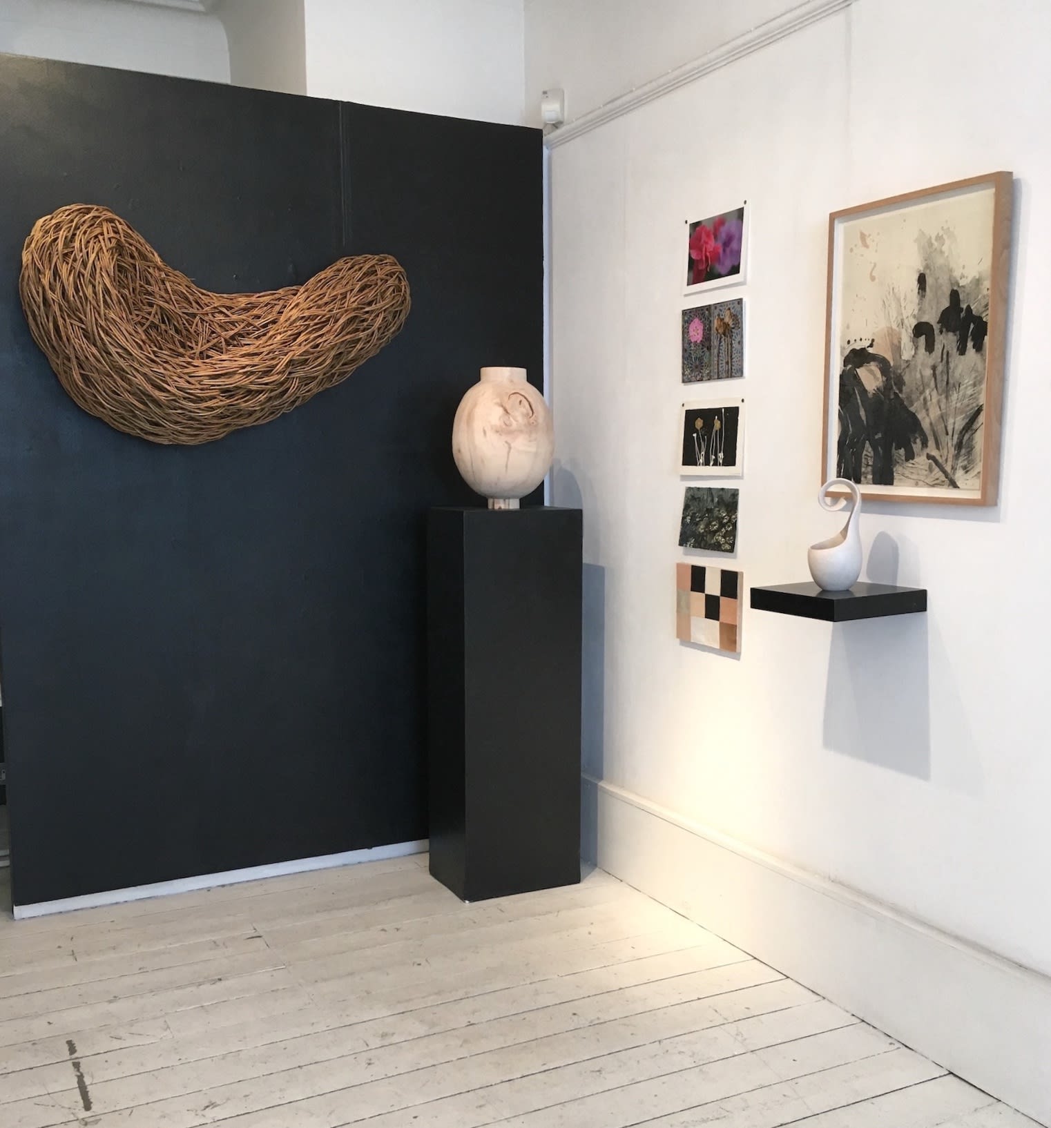 Assortment in Nature