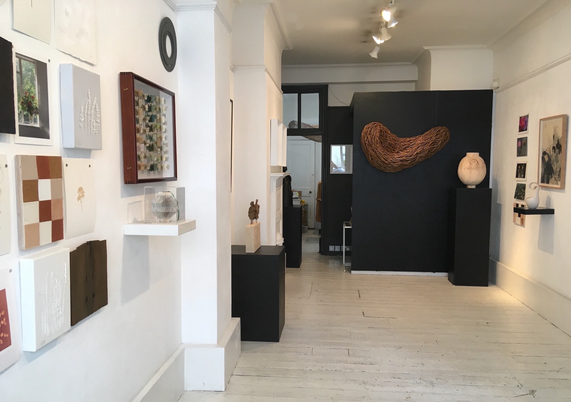 Assortment in Nature