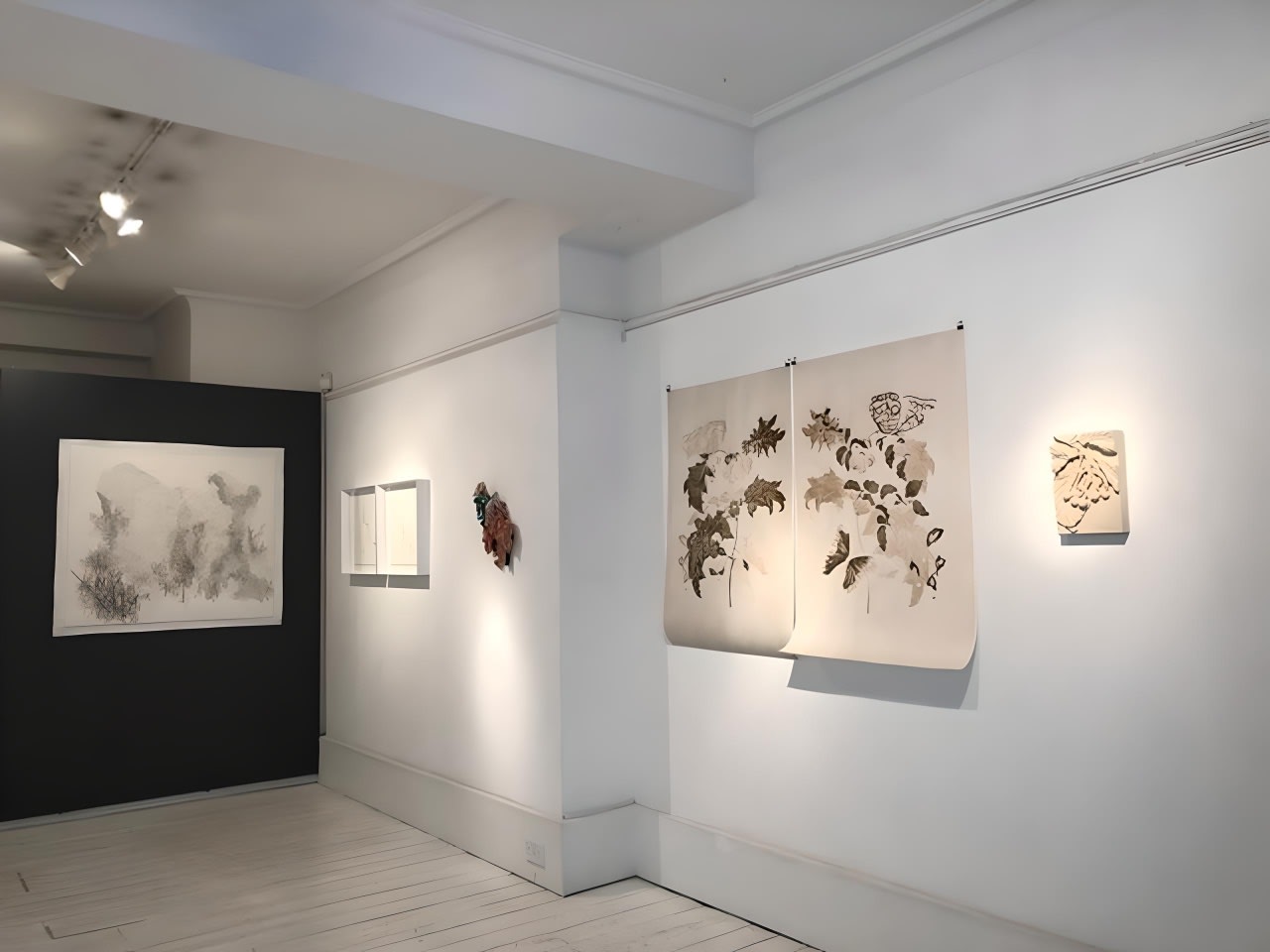 Flowers | Shoots | Leaves