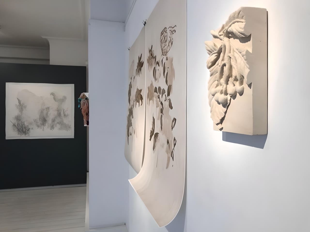 Flowers | Shoots | Leaves