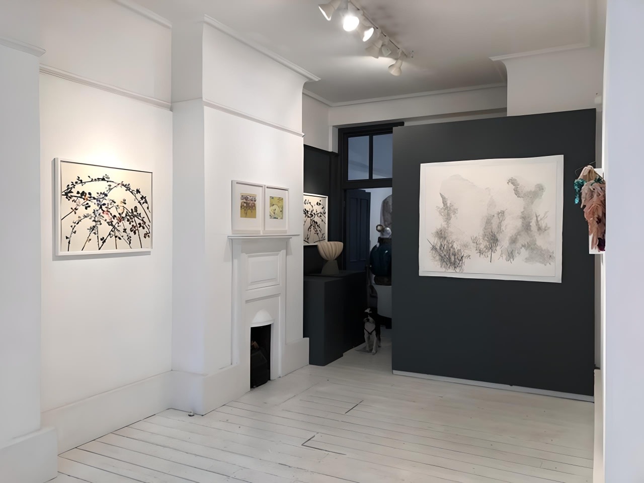 Flowers | Shoots | Leaves