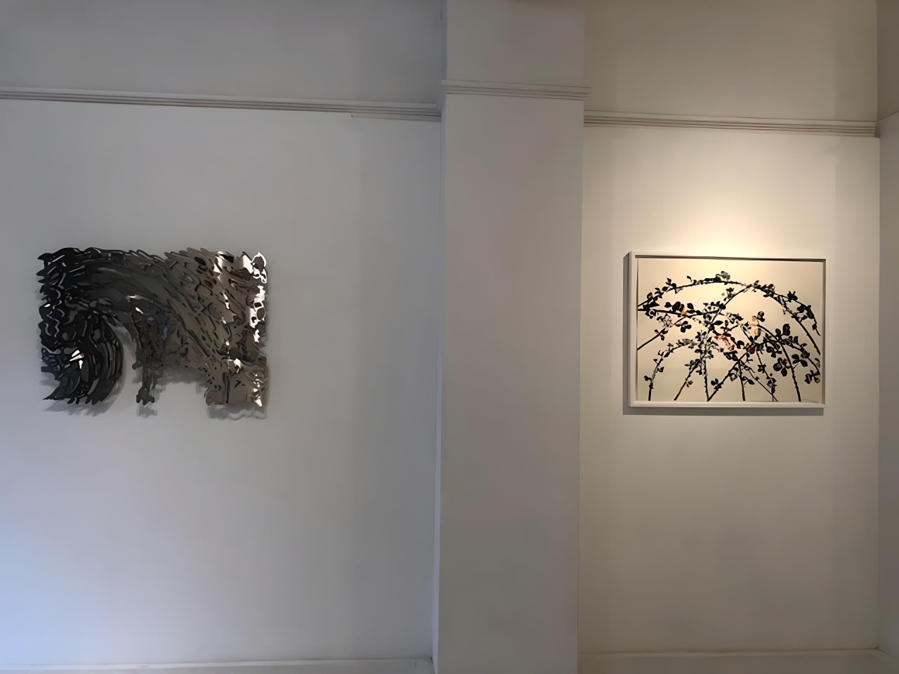 Flowers | Shoots | Leaves