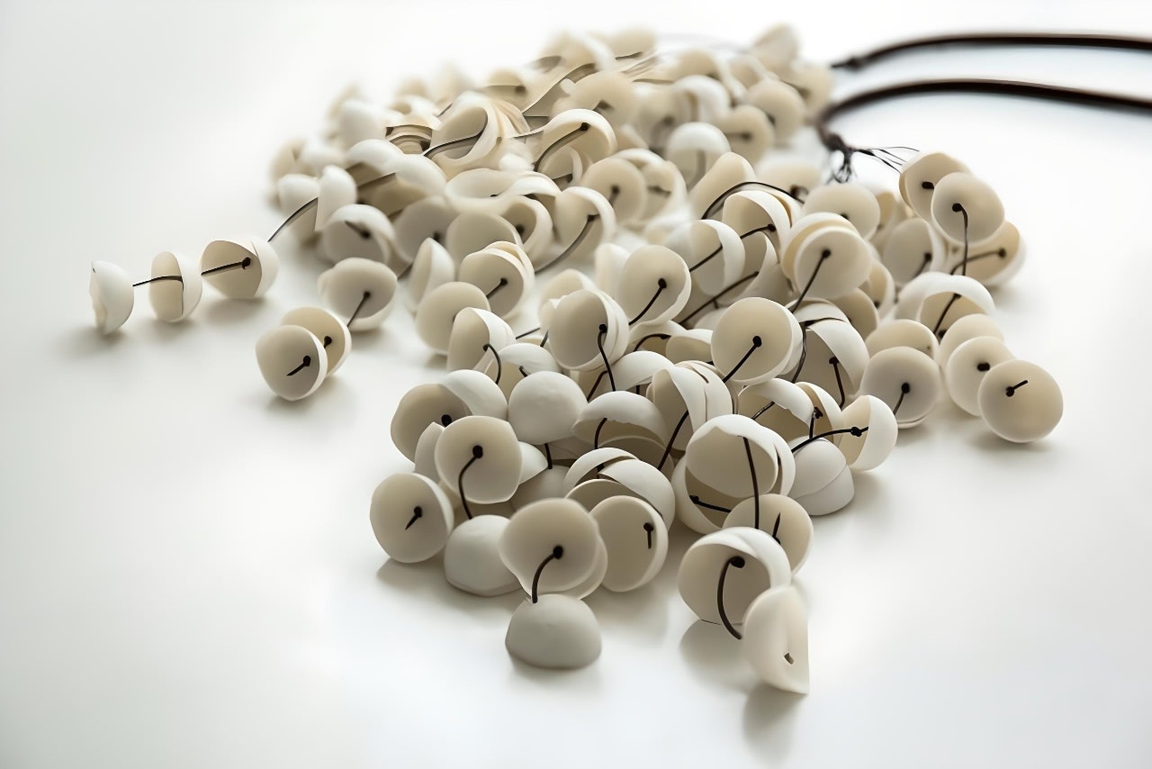 A Cabinet of Curiosities