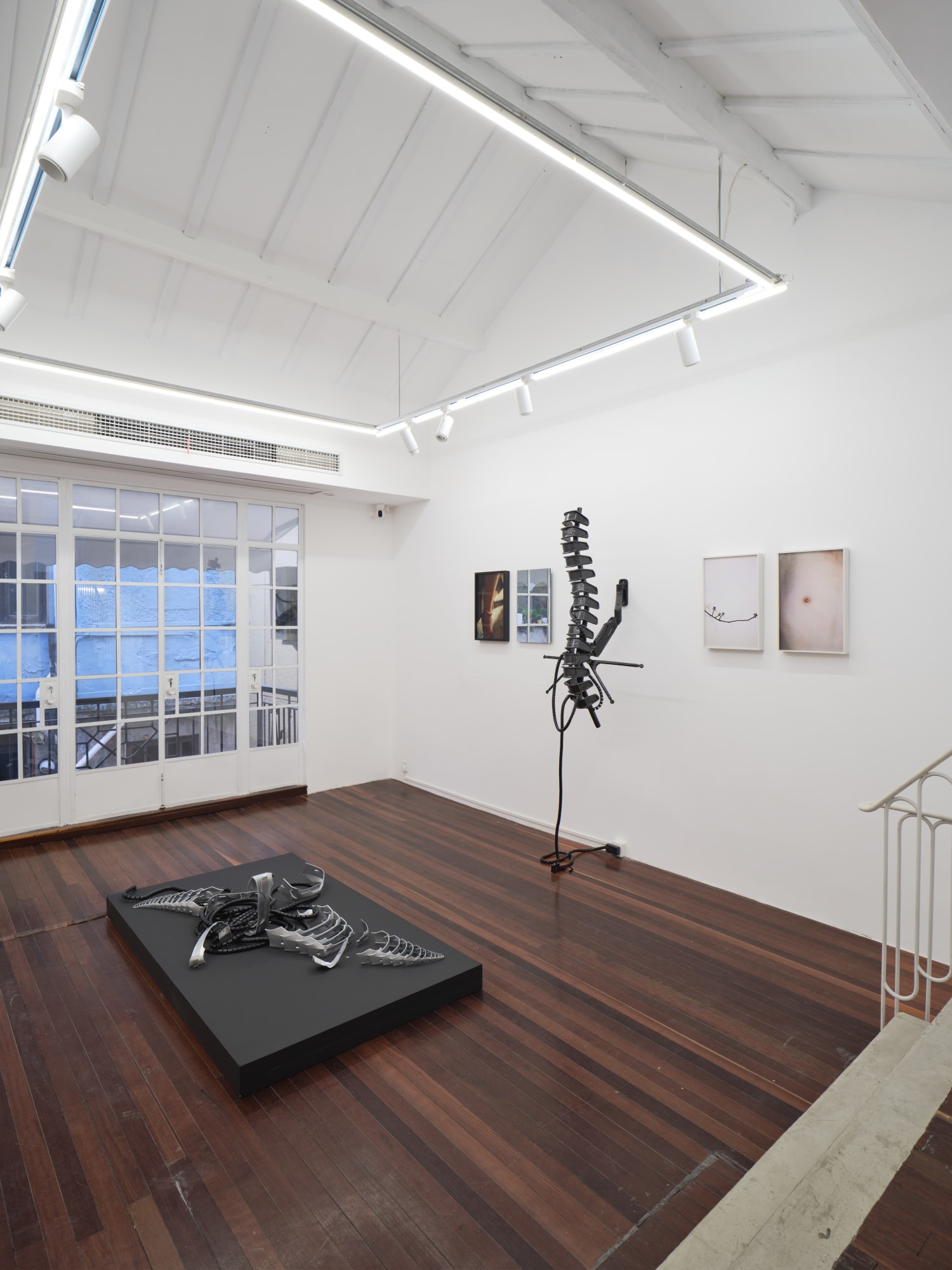 The Retinue of Dionysus