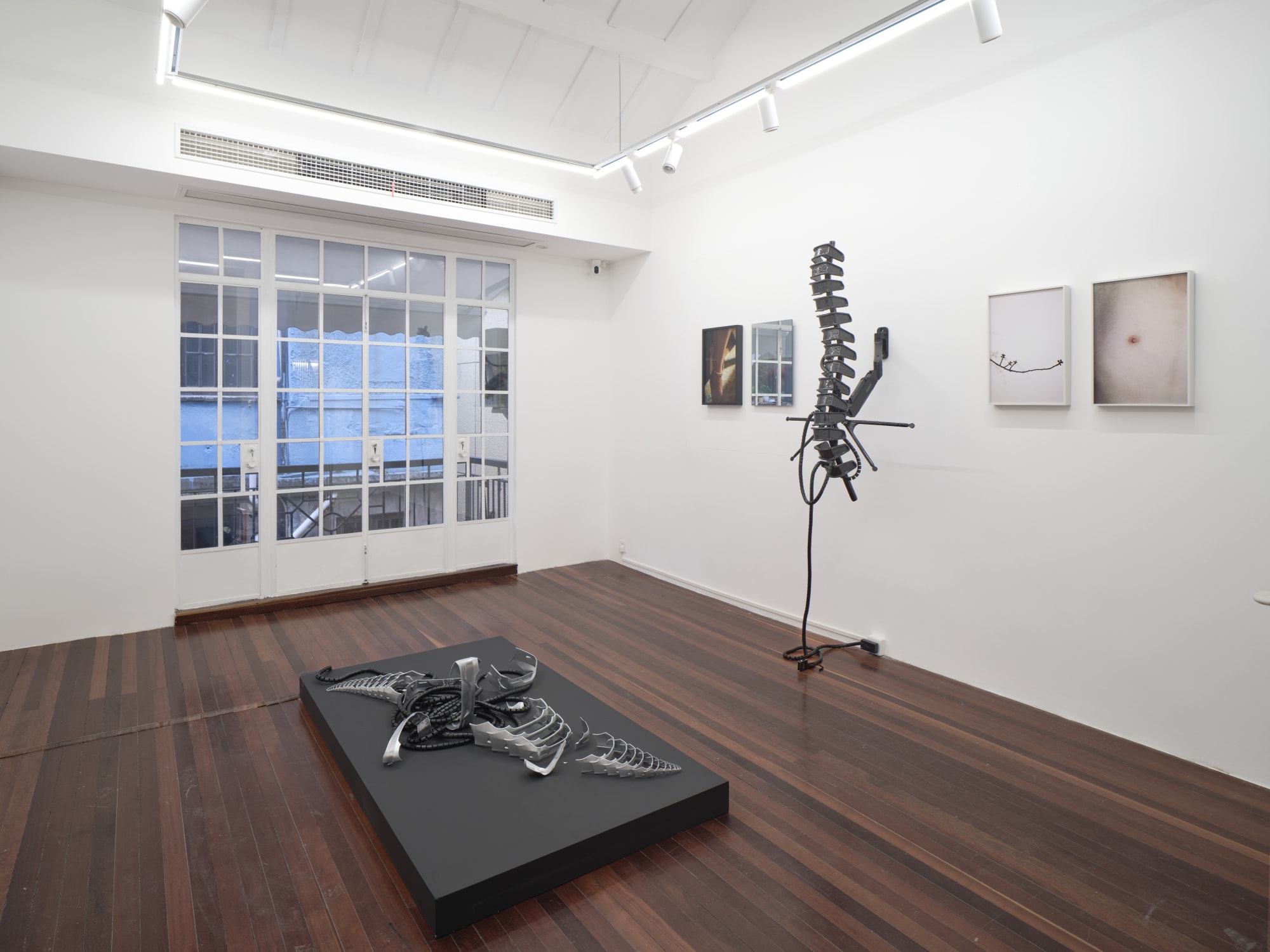 The Retinue of Dionysus