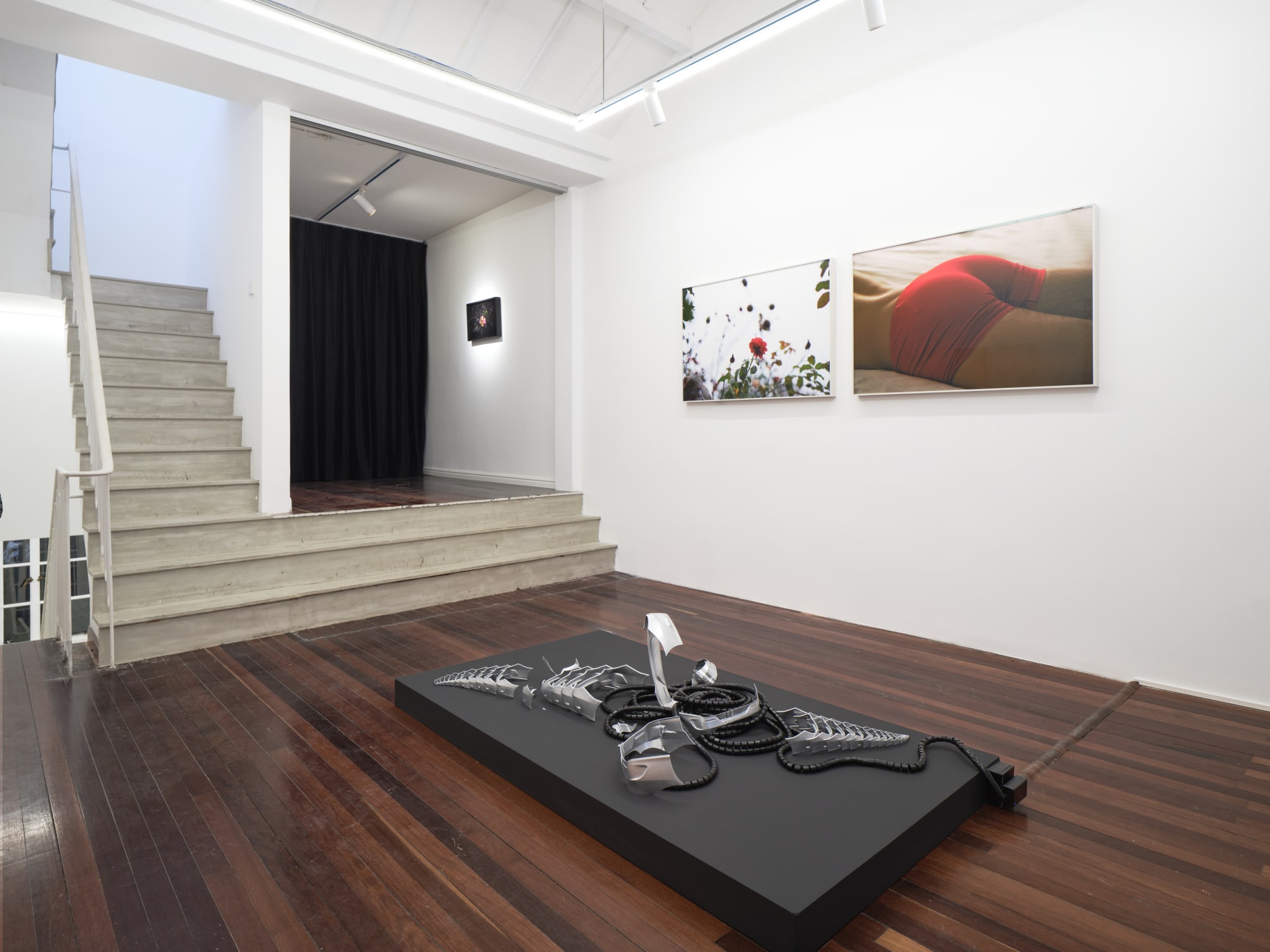 狄俄尼索斯的侍从