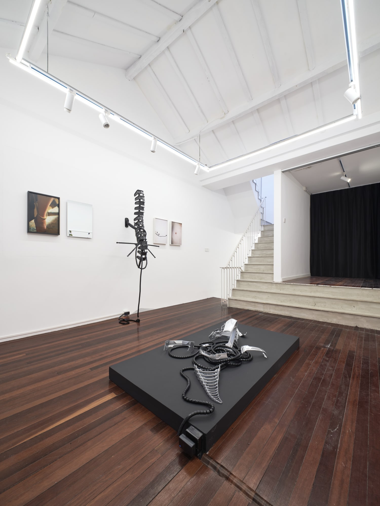 The Retinue of Dionysus