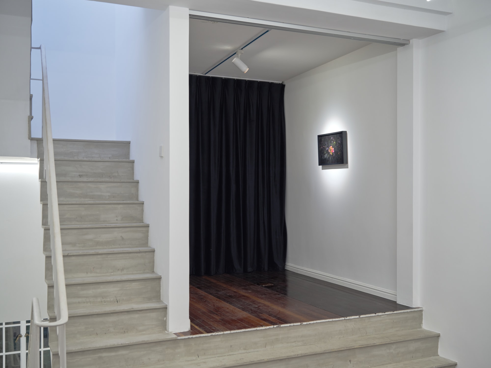 The Retinue of Dionysus