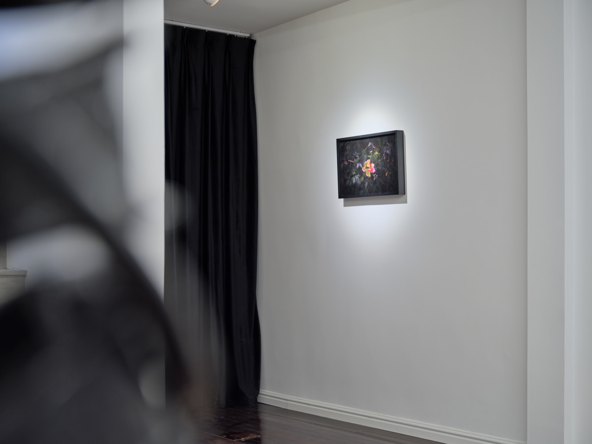 The Retinue of Dionysus