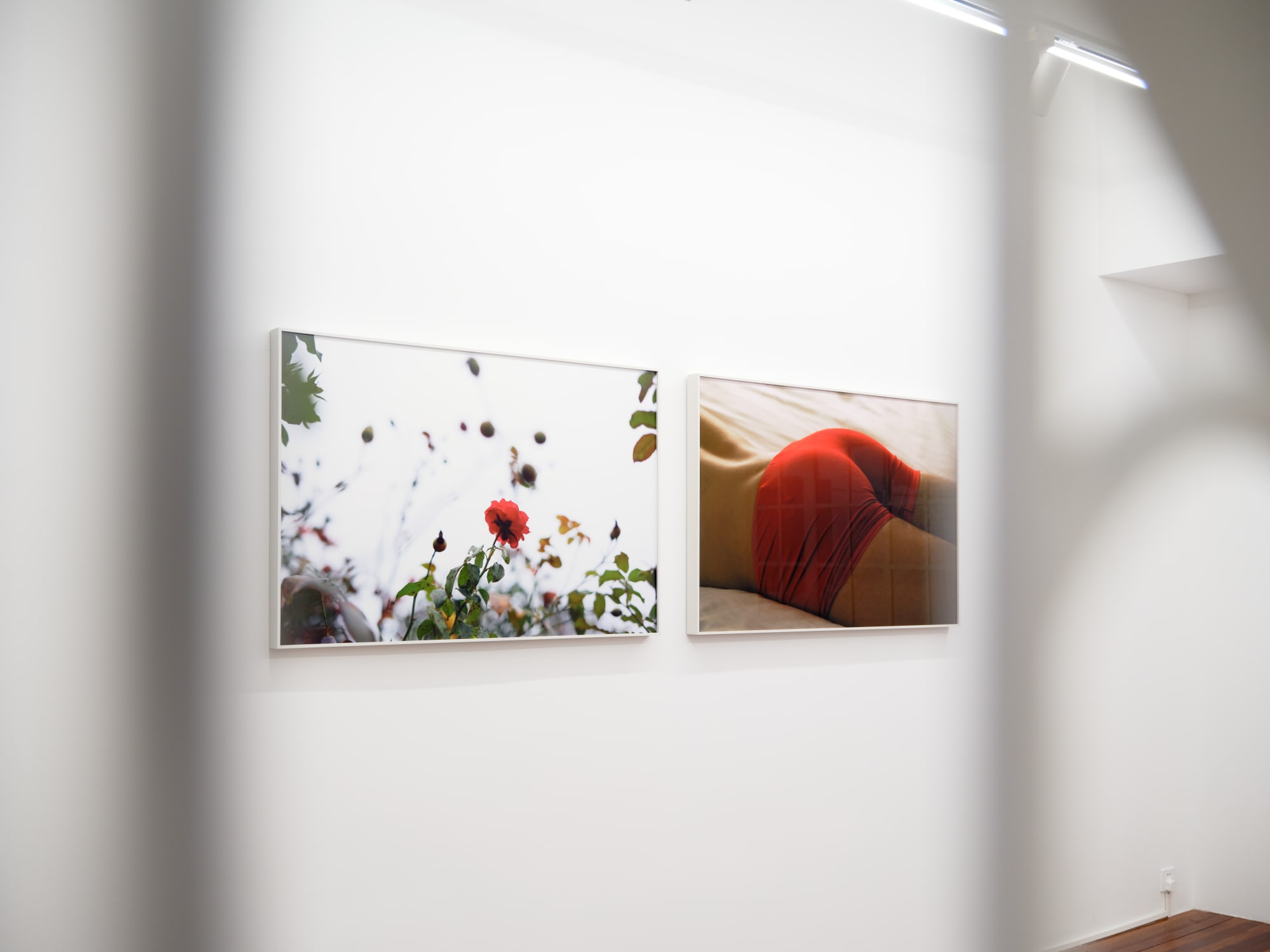 The Retinue of Dionysus