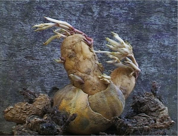 3 + 3 + 15 = 3 installations