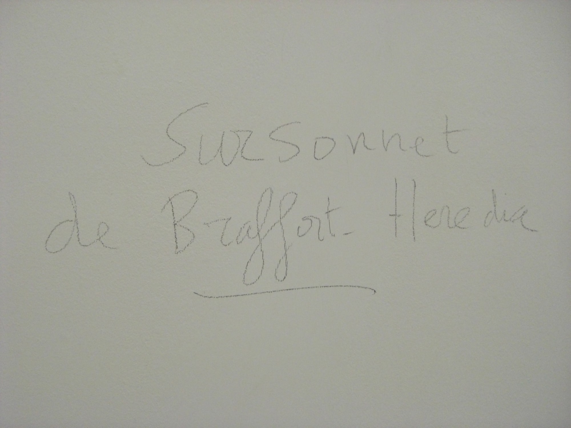 Les Opéras de Jacques Roubaud et autres formes brèves