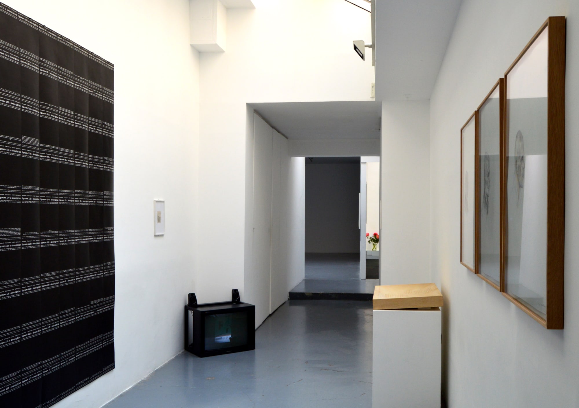 Quelques manuscrits trouvés dans une cervelle