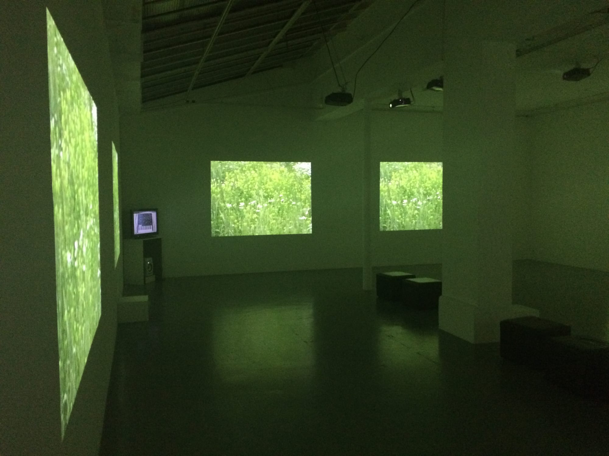 Video fields et en haut