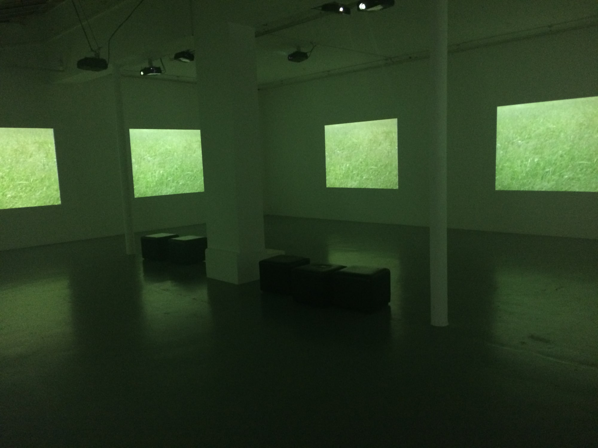 Video fields et en haut