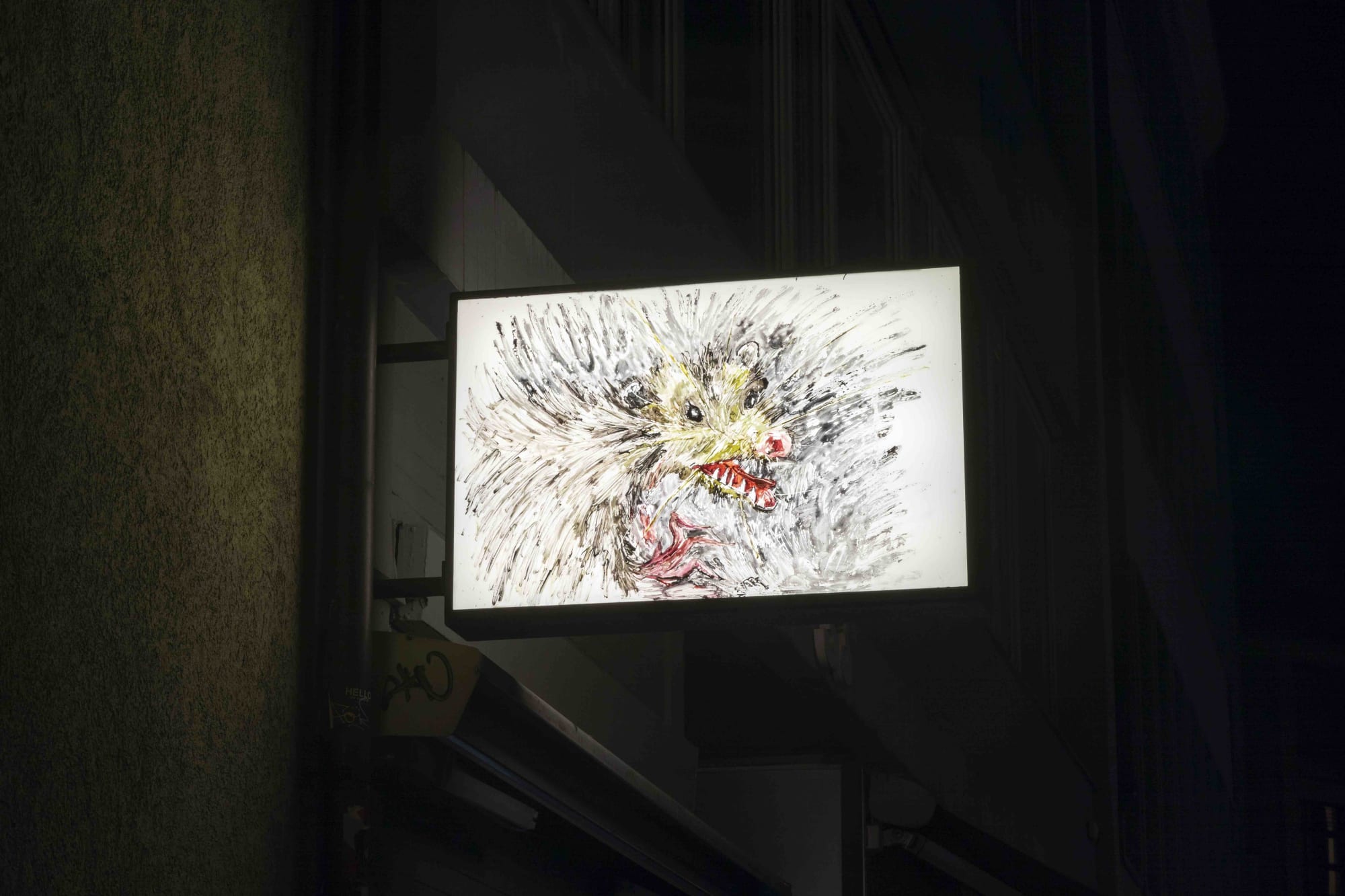 Possum, Saint Luke, Zurich, 2019