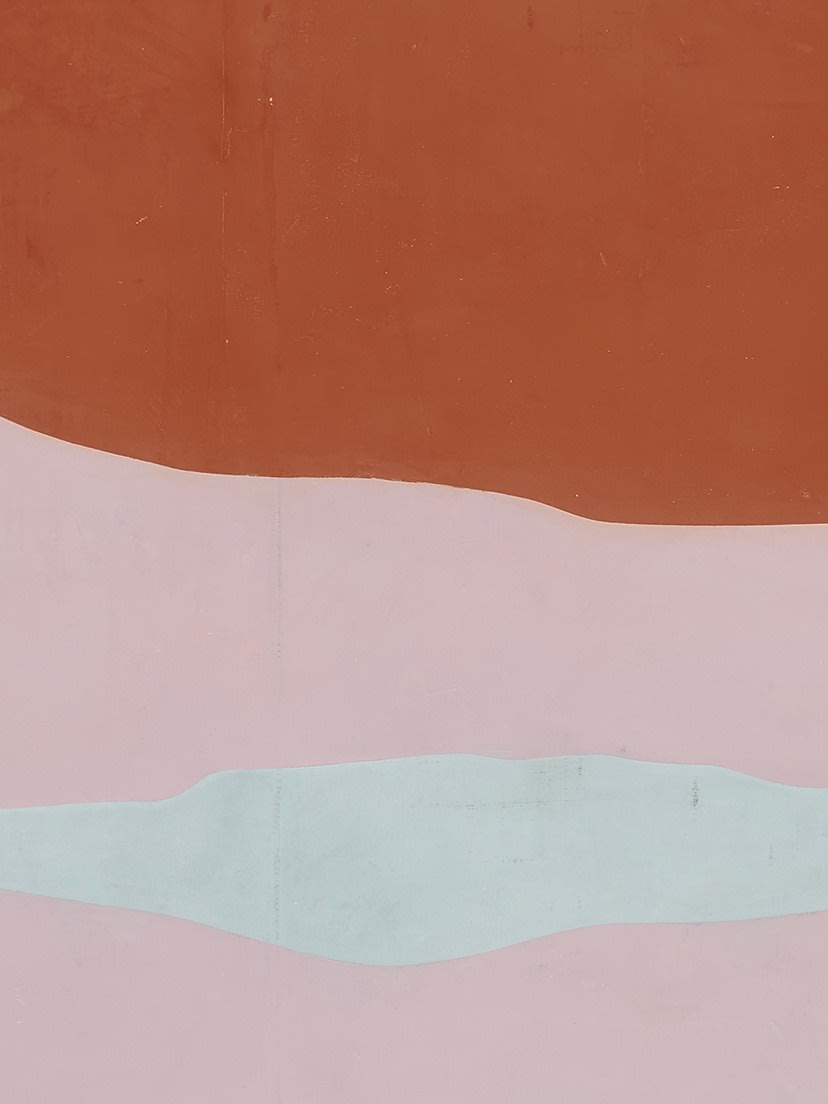 Detail, Subversive Softening or the softened reality, 2021