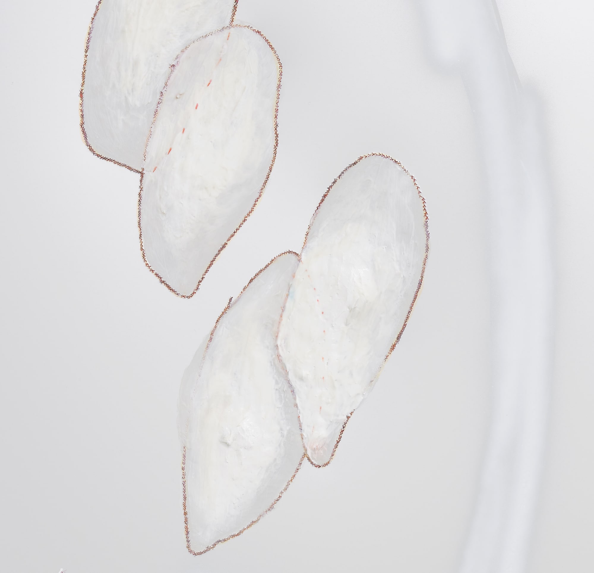 Detail, Fillet, 2021