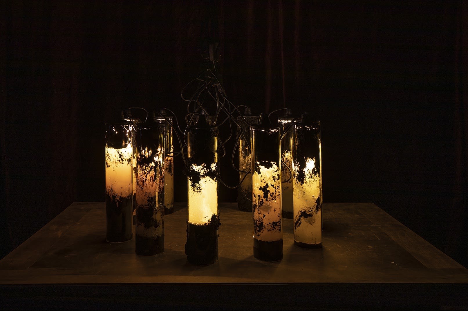 Trunfa, 2019, glass, humus, fibers, epoxy, human hair, animal hair, wire, cable, lamp, dimensions variable