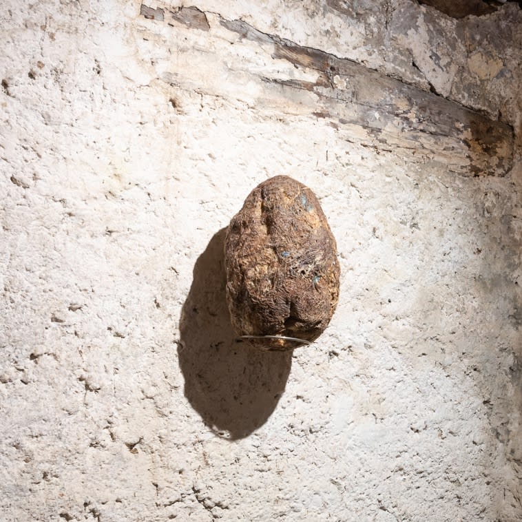 Ovo por Olho (An Egg for an Eye), 2017, latex, fabric, organic material, 29 x 19 x 19 cm