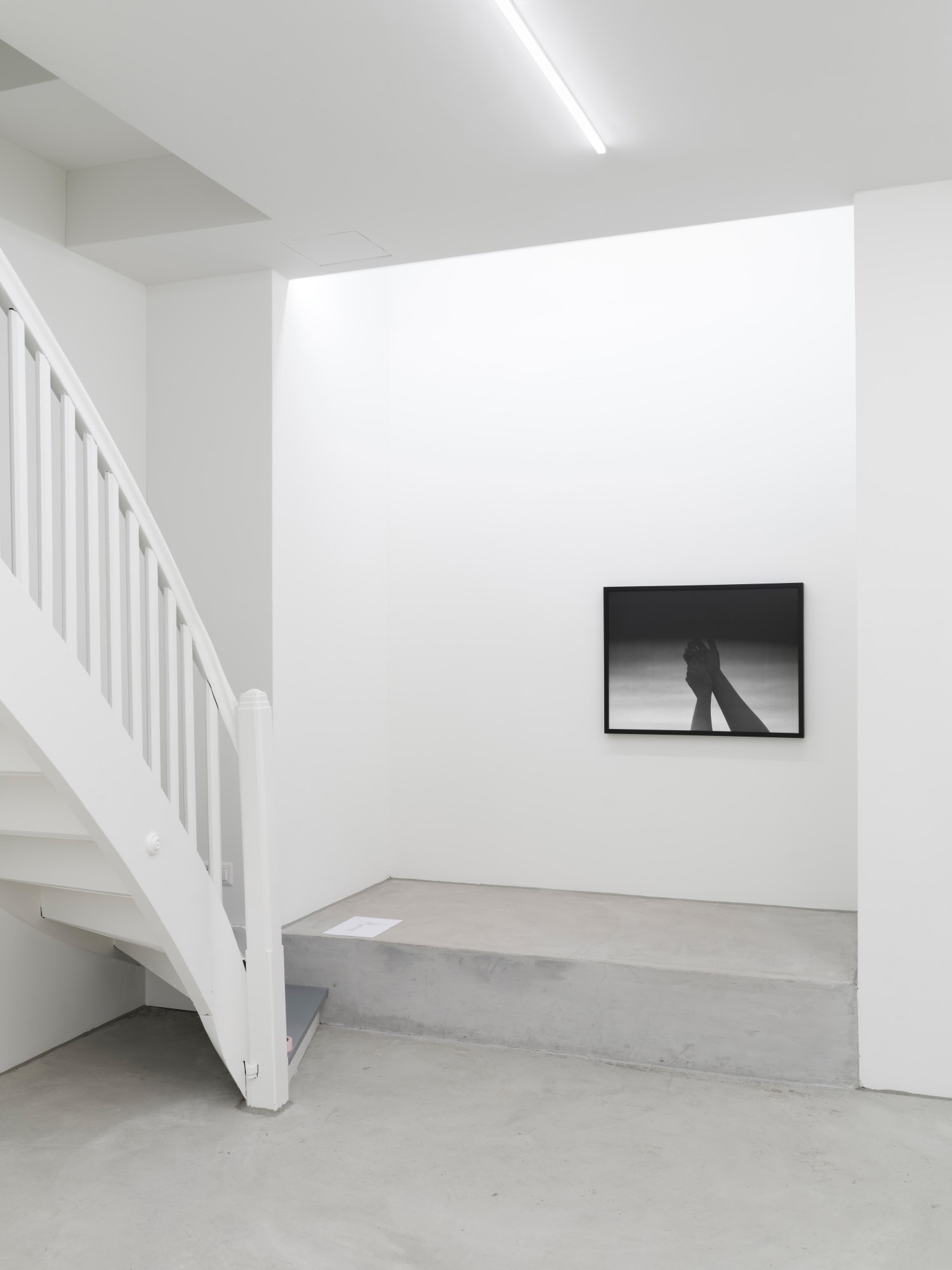 SARAH BRAHIM, DAVID LINDSAY, SOPHIE REINHOLD