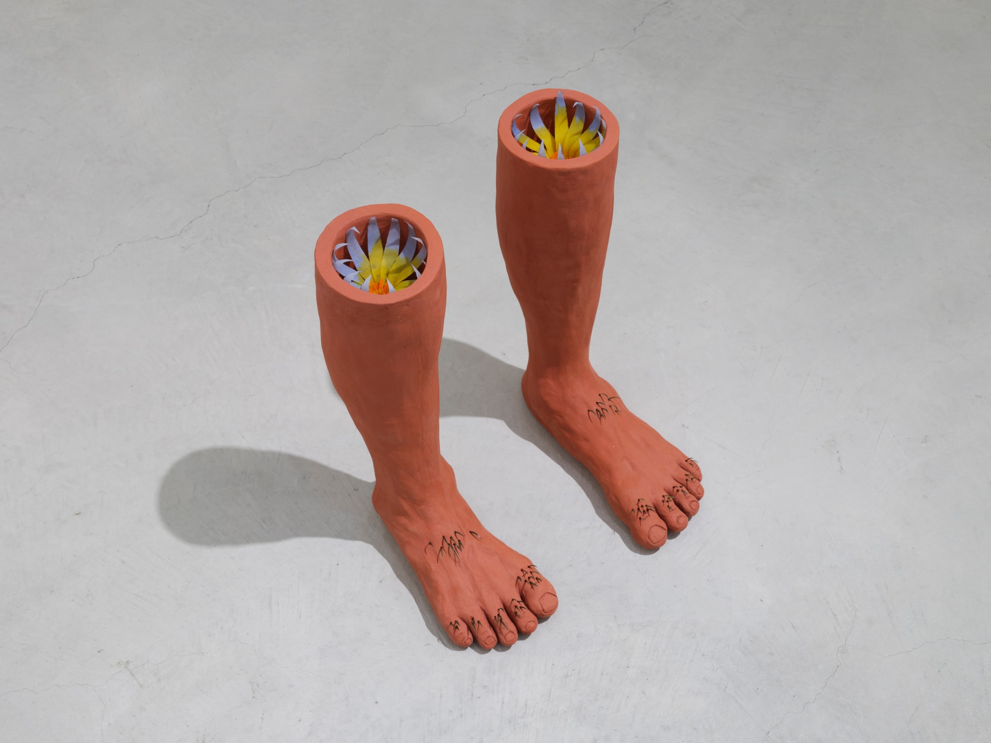 Metaphytosis (perna suada), 2024, burned clay, shape-memory polymer, wire, 42.5 x 36 x 27 cm