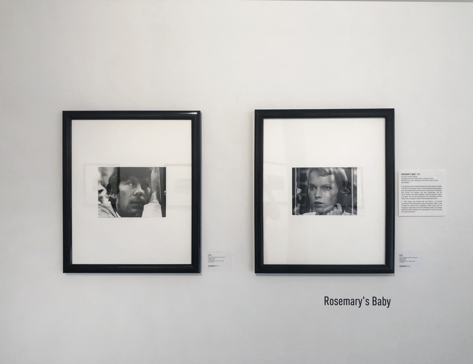 Installation view of 2018 exhibition Director's Cut: 1960s Vintage Photographs at Westwood Gallery NYC, New York