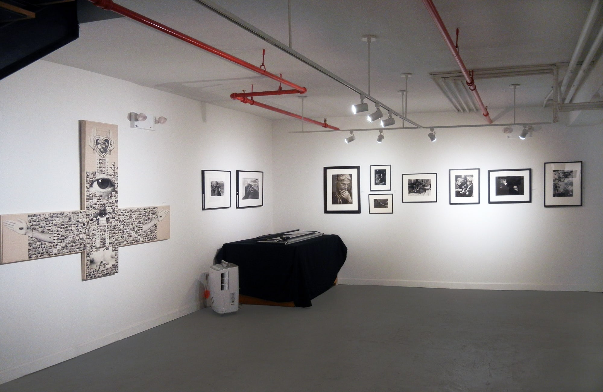 Installation View of 2017 exhibition The Language of Hands: Photographs from the Buhl Collection at Westwood Gallery NYC