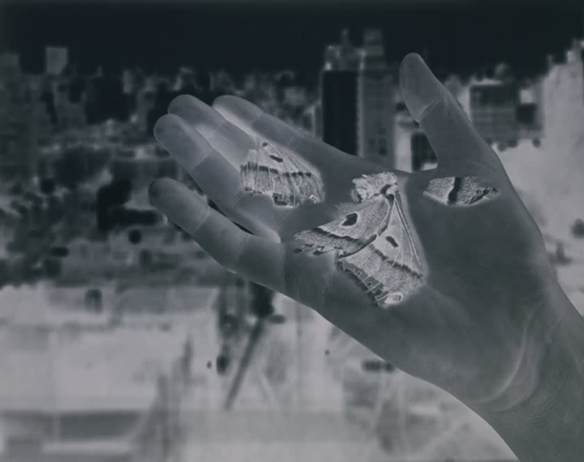 barbara jaffe, dark sun #8 (from series), 1990