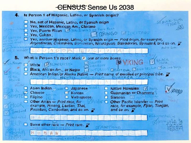 Artwork emulating the appearance of the US census