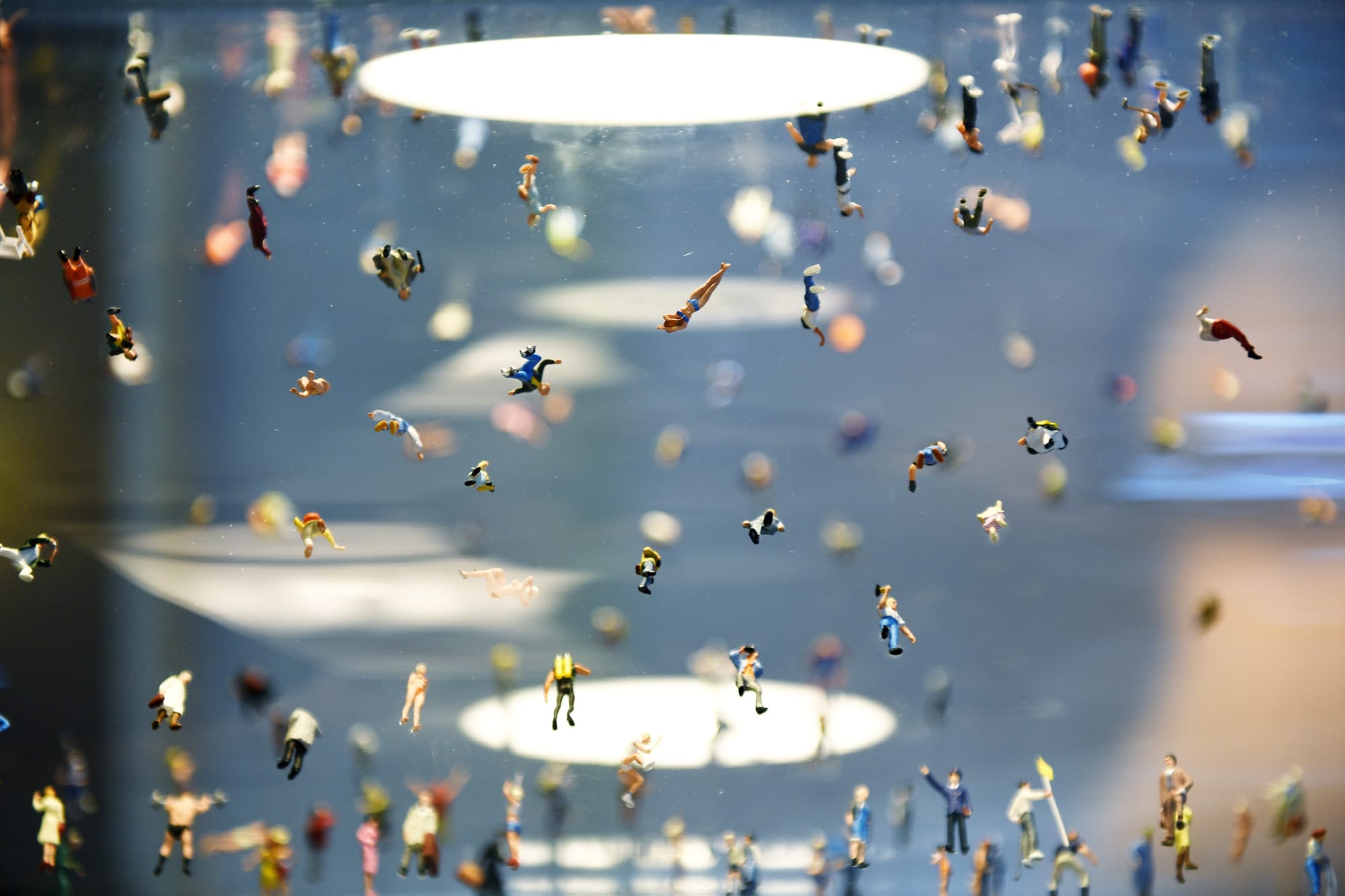 Rolf Sachs — Eingemachtes