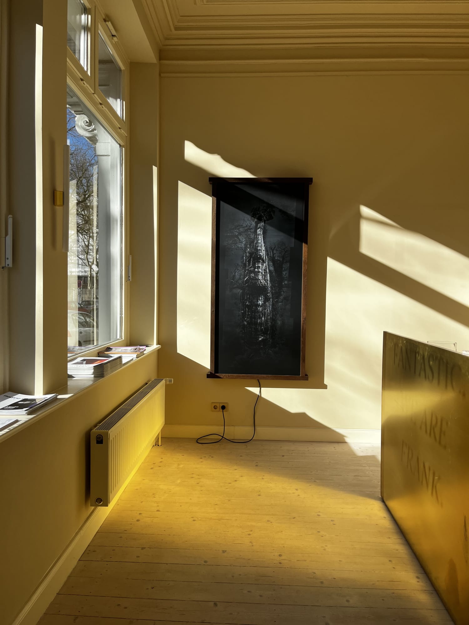 Form follows light — Kunst im Dialog mit Raum und Licht