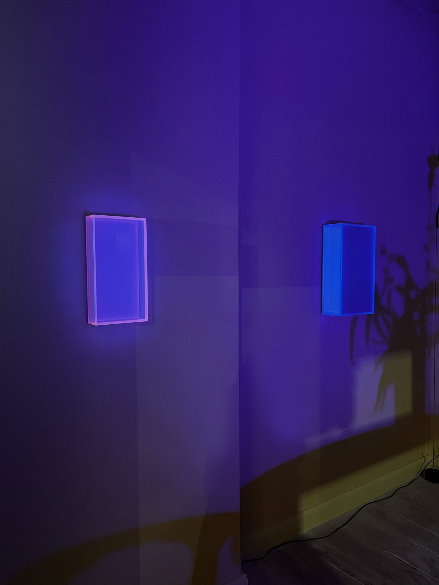 Form follows light — Kunst im Dialog mit Raum und Licht