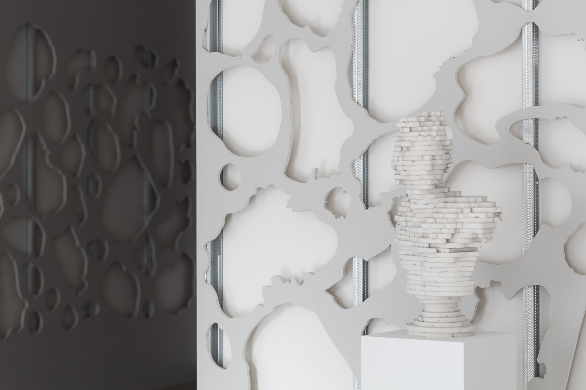 SCOTT CARTER: THE SHAPE OF THINGS