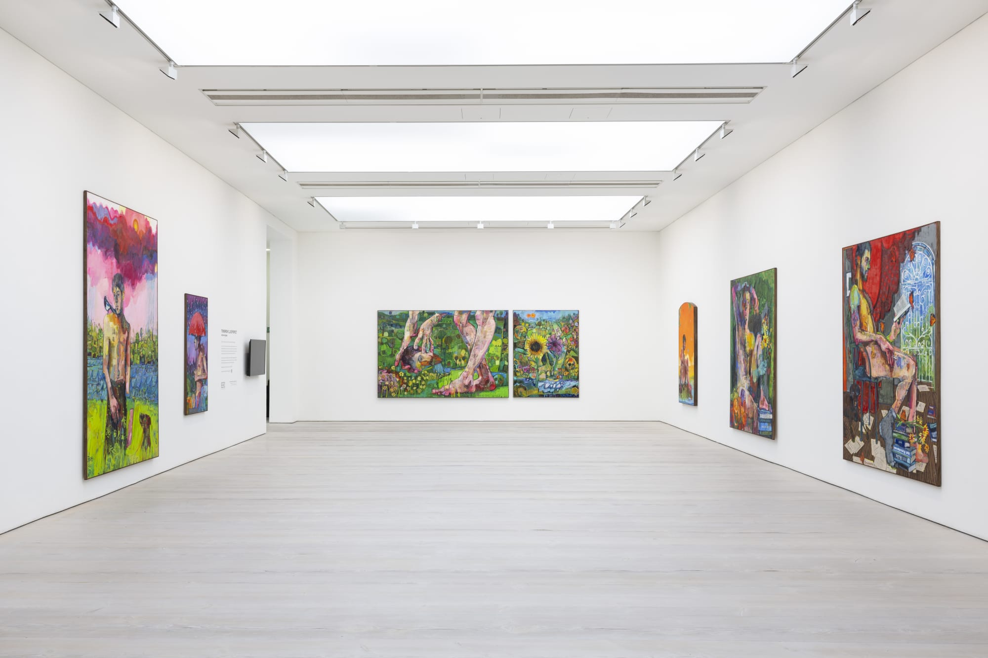 ANDREW SALGADO: TOMORROW I'LL BE PERFECT @ SAATCHI GALLERY