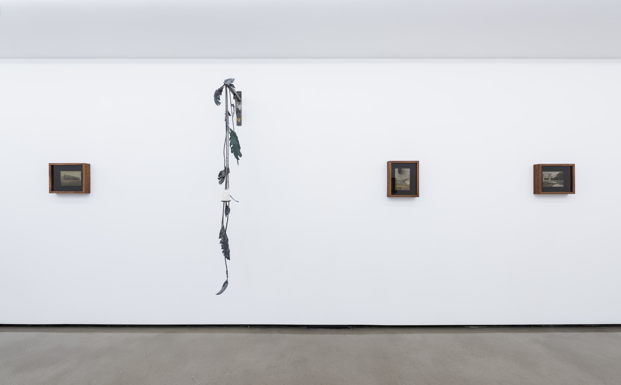 TONY ROMANO: NIGHT THOUGHTS