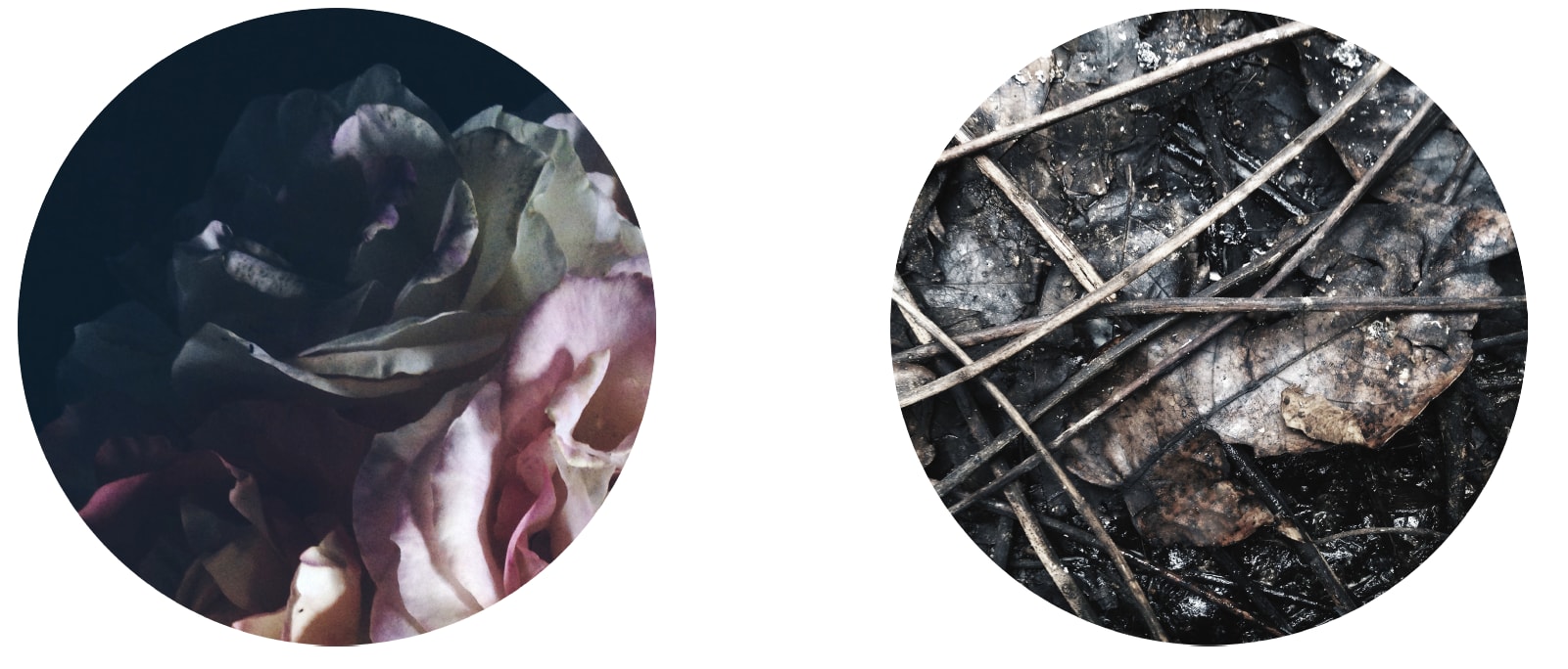 CLINTON HAYDEN, Noli me Tangere I & II, 2015