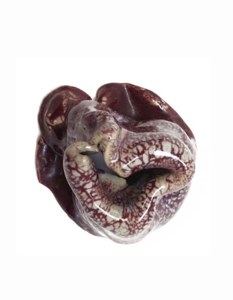 LUCIA PIZZANI, Capullo A9, 2013