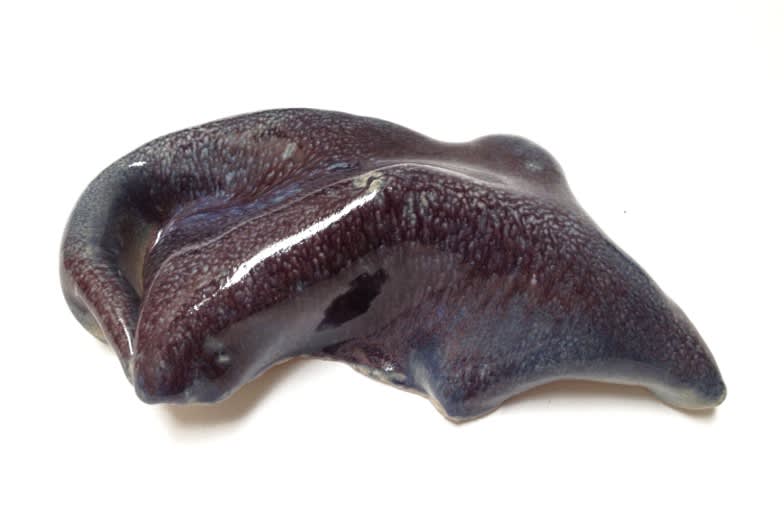 LUCIA PIZZANI, Capullo A1, 2014