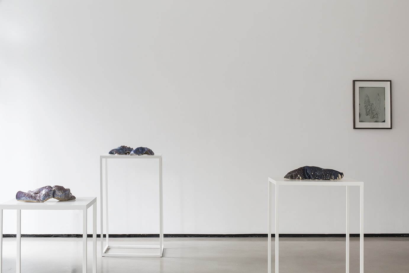 LUCIA PIZZANI: THE WORSHIPPER OF THE IMAGE