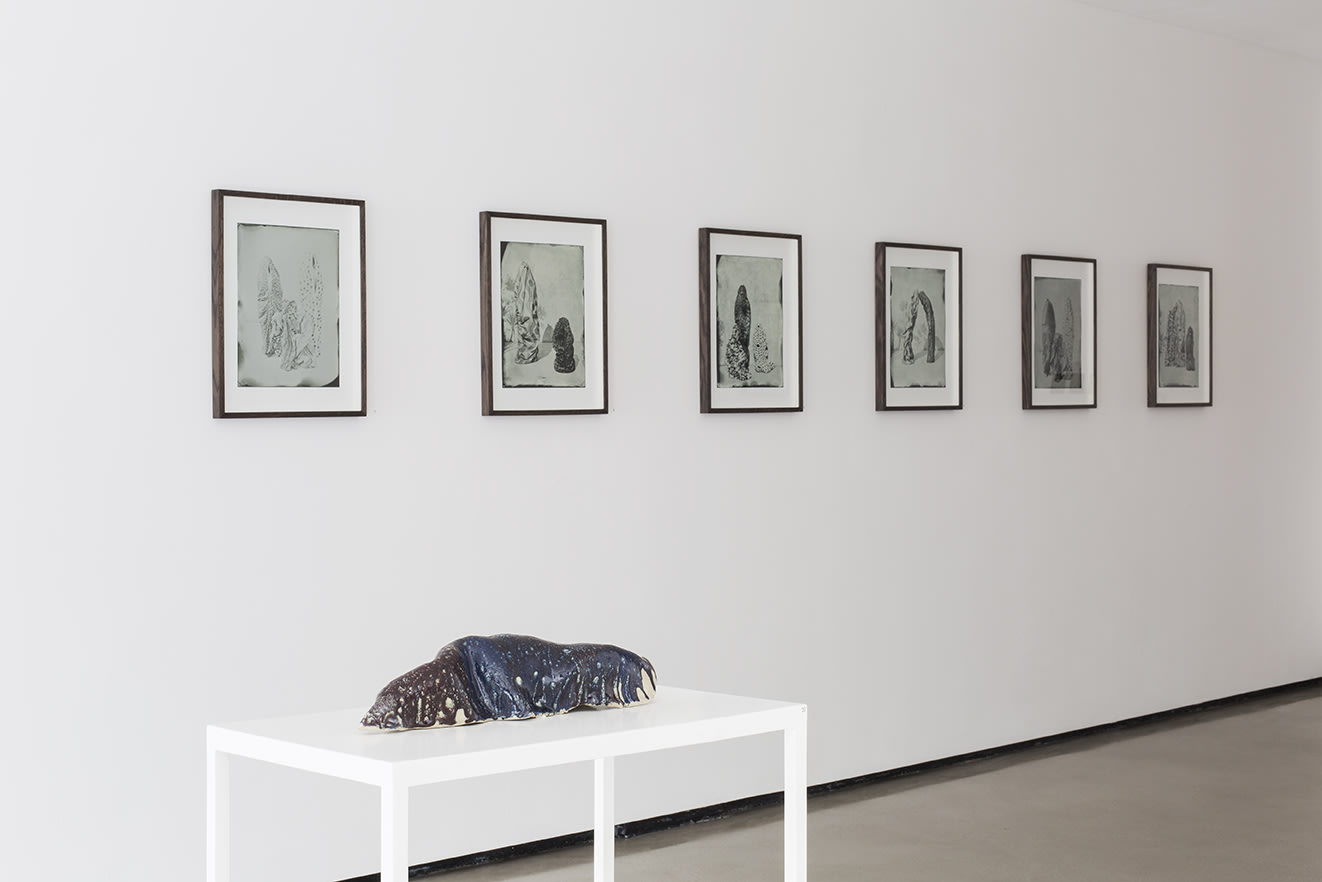 LUCIA PIZZANI: THE WORSHIPPER OF THE IMAGE