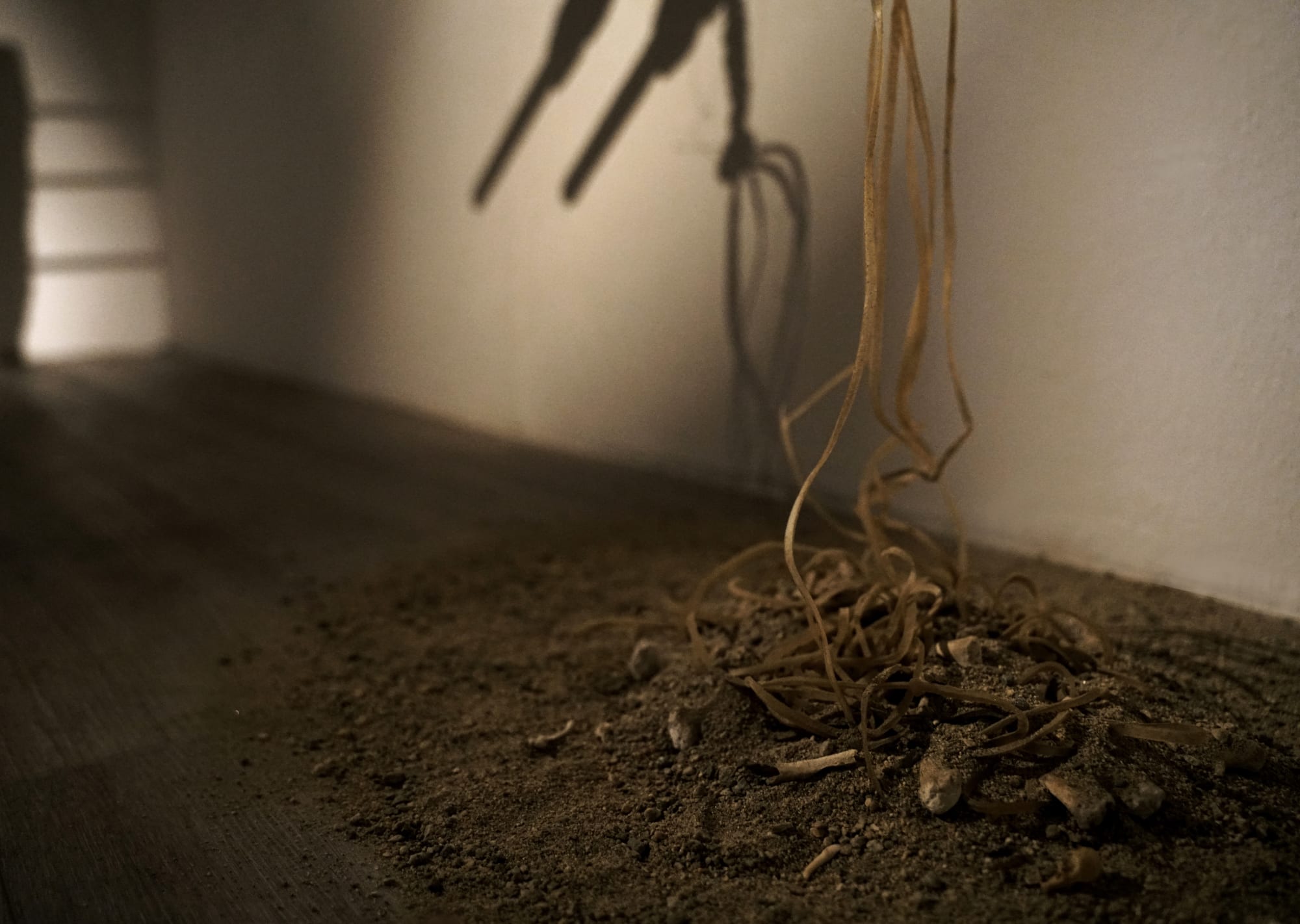 Catherine Menard, "Minstrel", 2024