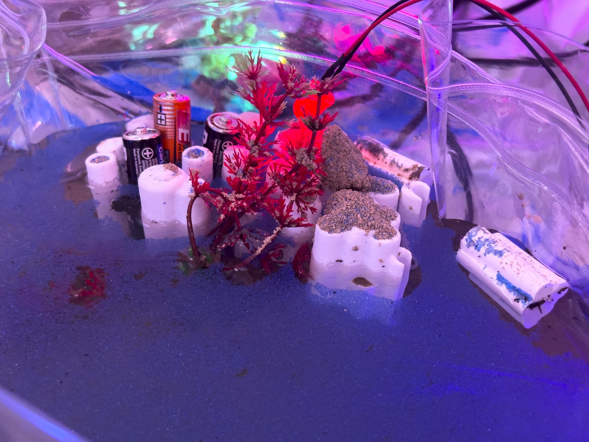 Spirits on the Ground